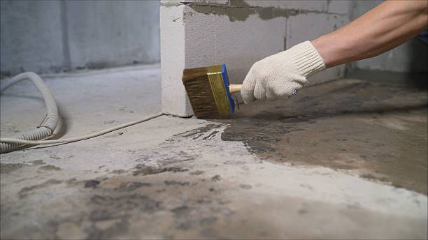 Top rated local Interior Drainage System specialists in Winchester, VA